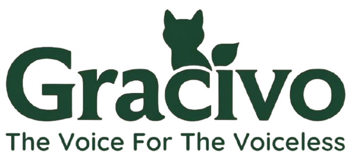 Gracivo Logo