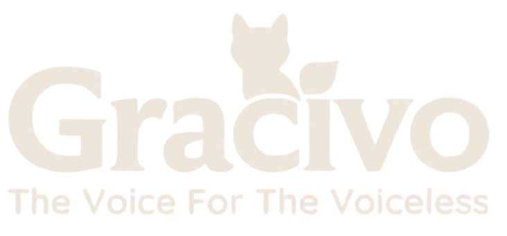 Gracivo Logo