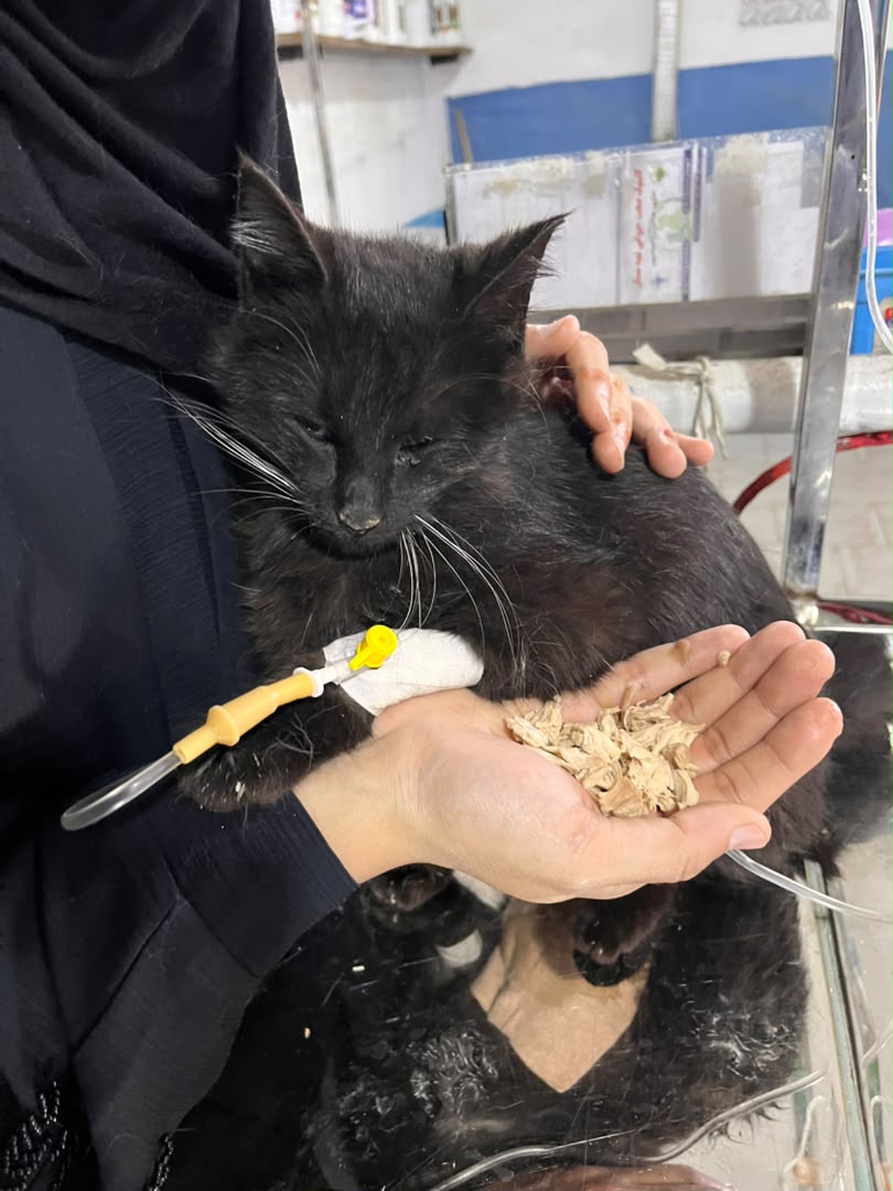 Madeling right after surgery